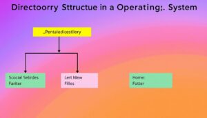 Directory Structure