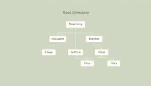 Directory Structure 