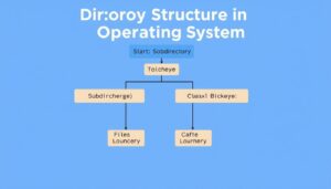 Directory Structure